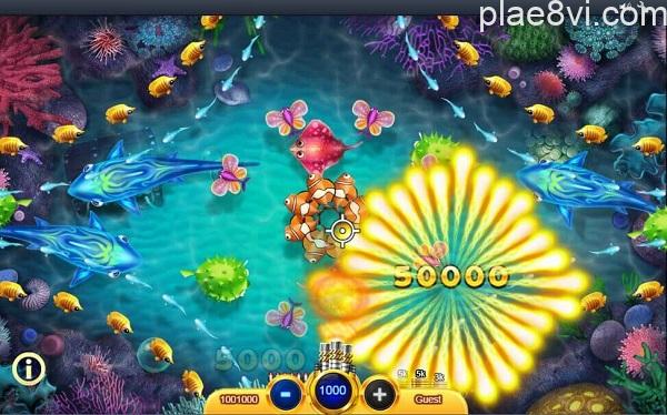 ban-ca-plae8 cash-fish