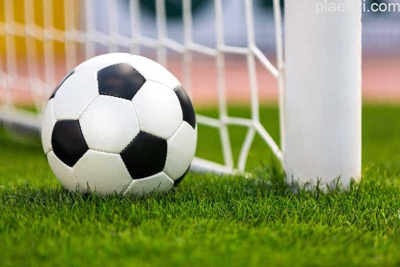 ca-cuoc-the-thao-tai-plae8