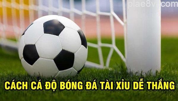 meo ca do keo-tai-xiu