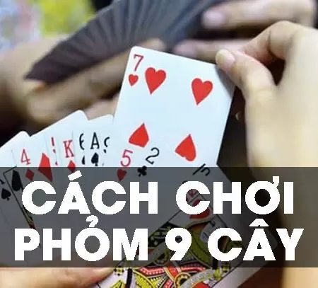 Cách chơi phỏm 9 cây từ A tới Z dành cho người mới