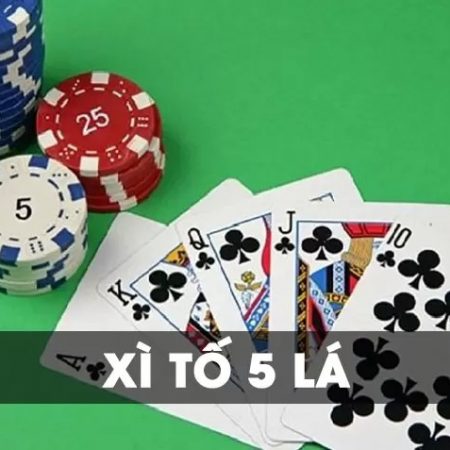 Hướng dẫn từ A tới Z cách chơi xì tố 5 cây cho gà mờ