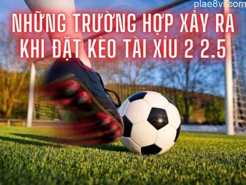 cach choi tai-xiu-2.5