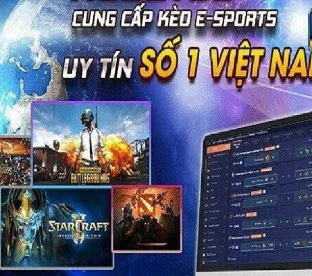 Casino NK6 – cổng game cá cược uy tín hàng đầu Châu Á