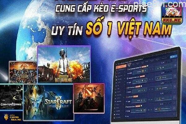 casino-nk6 esport