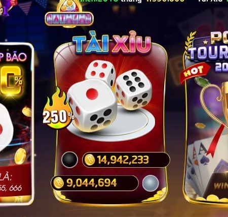 Quy luật tài xỉu rikvip dễ trúng nhất tân thủ nên biết