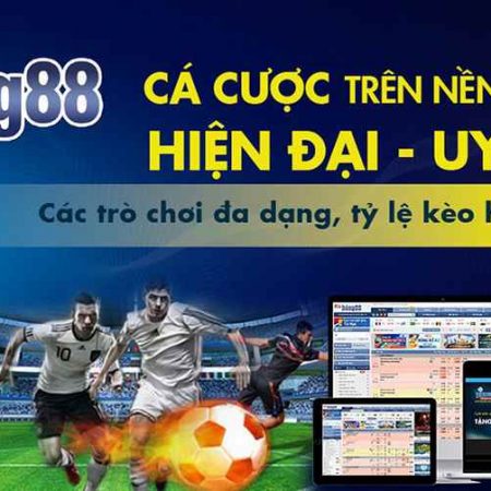 Đánh giá nhà cái bongvip88 có chất lượng hay không?